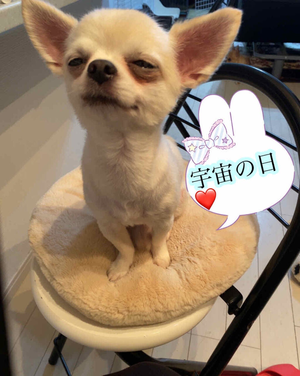 キキララ ネイル/DAISO/マニキュアを使ったクチコミ(4枚目)