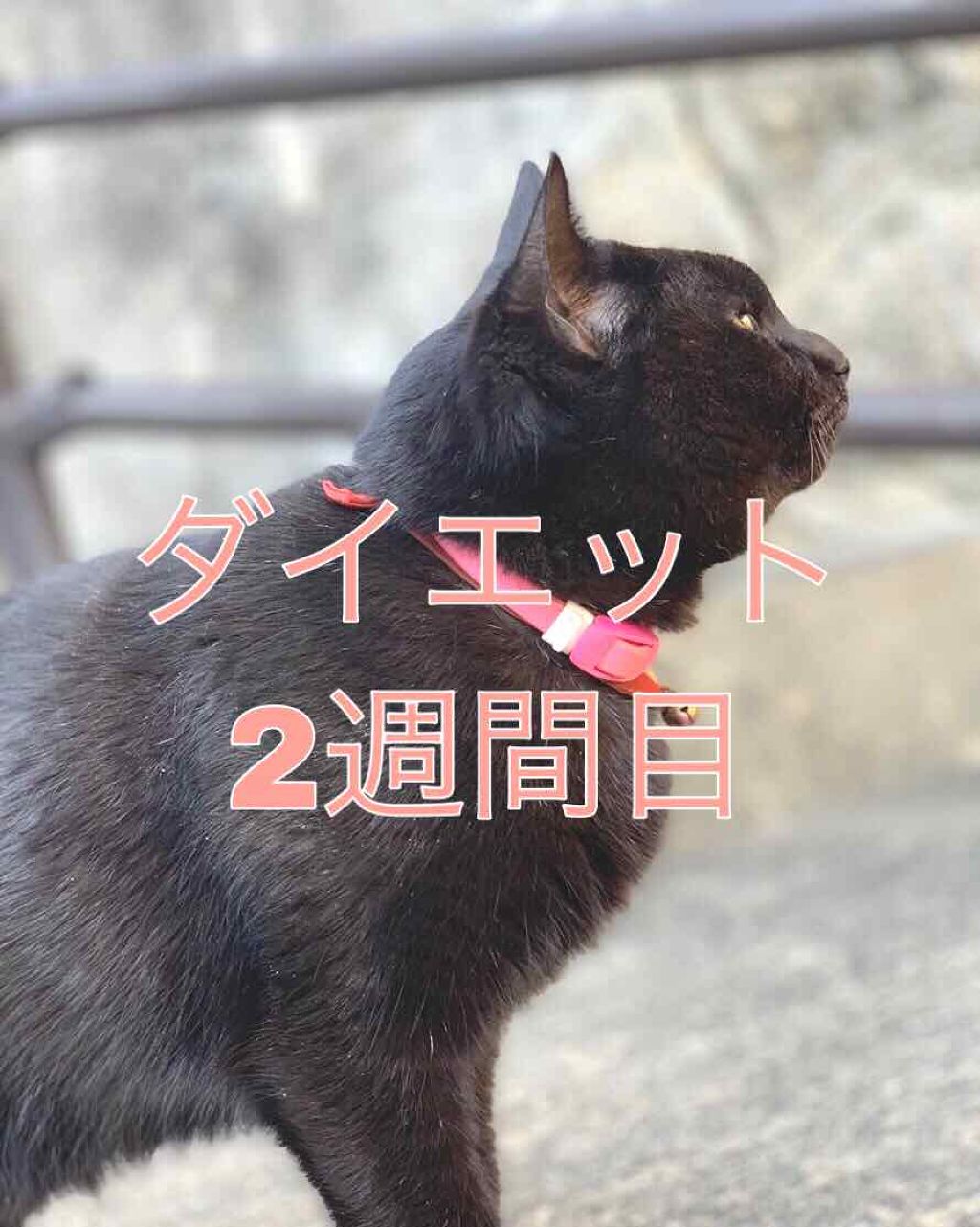 おやすみ美脚/SLIMWALK/着圧ソックス・レギンスを使ったクチコミ(1枚目)