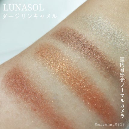 アイカラーレーション/LUNASOL/アイシャドウパレットを使ったクチコミ(5枚目)