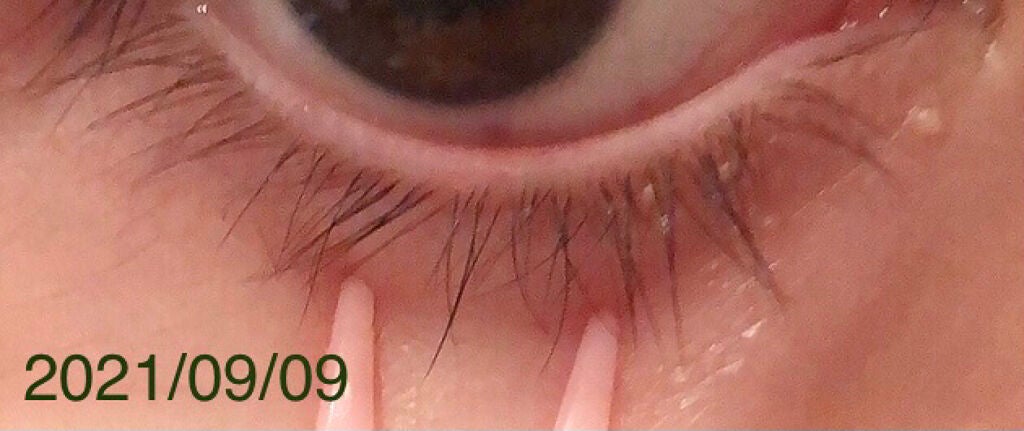 EMAKED(エマーキット)/水橋保寿堂製薬/まつげ美容液を使ったクチコミ(8枚目)