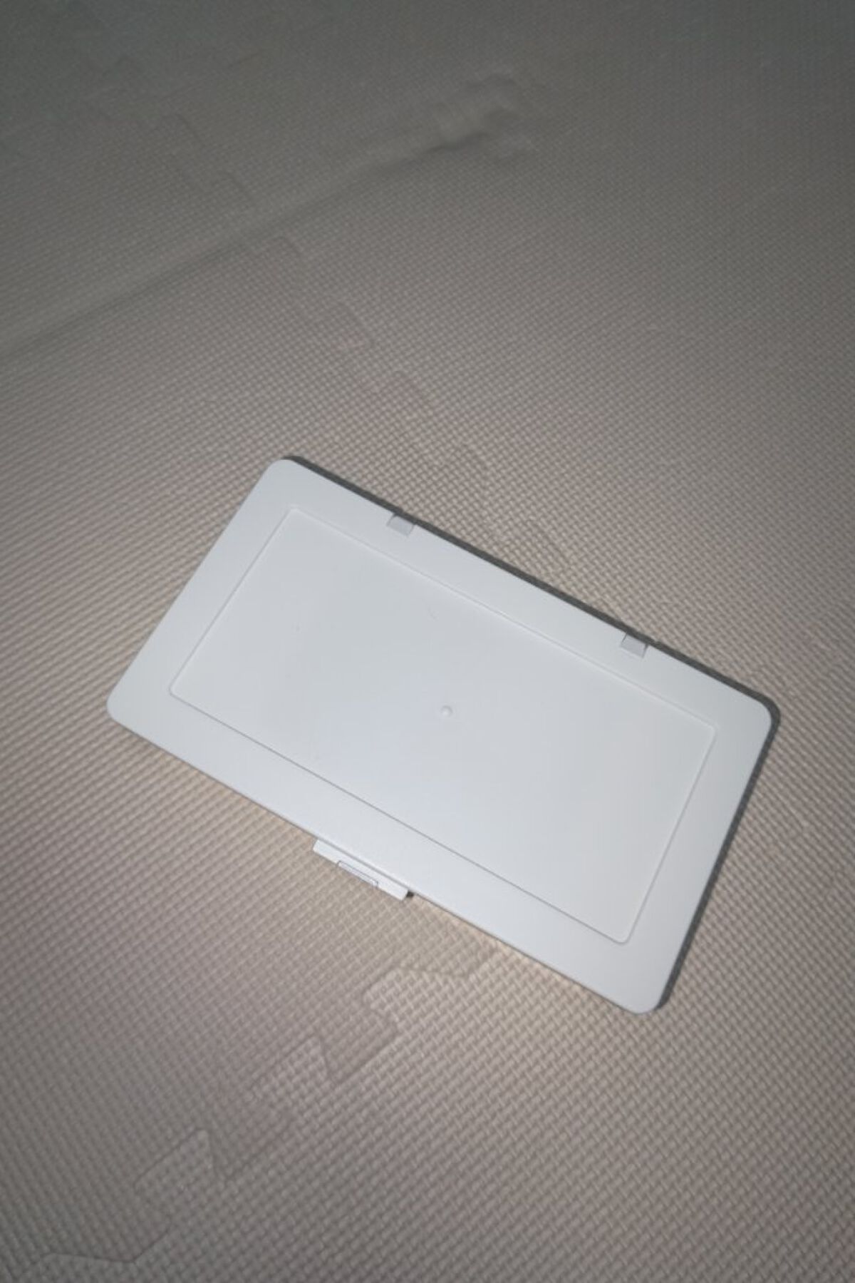 フタがとまるマスクケース/DAISO/マスクを使ったクチコミ（2枚目）