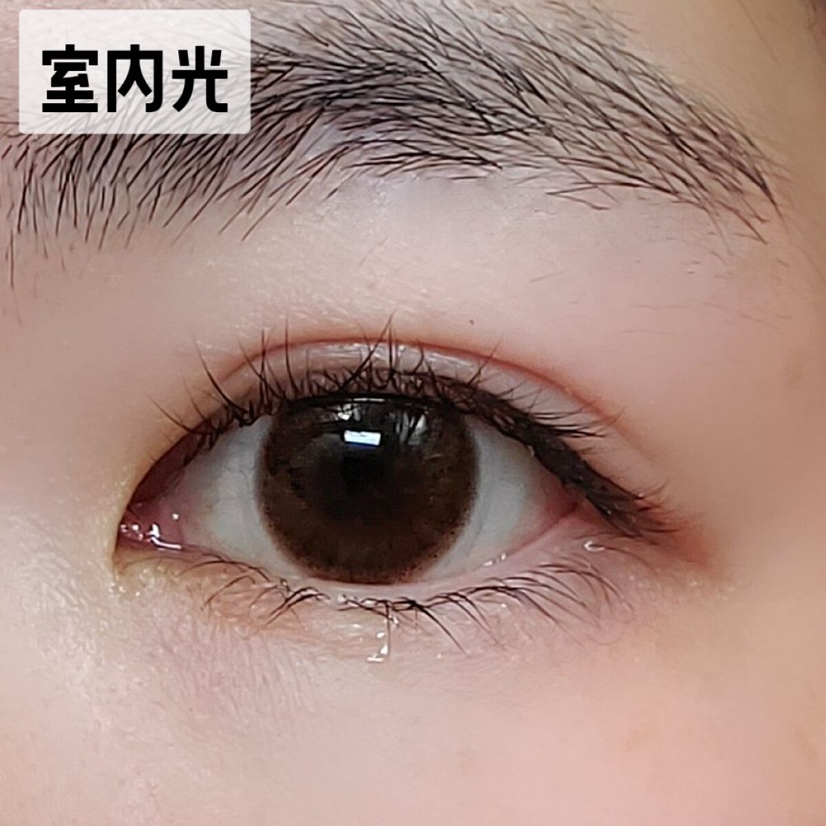 LuMia 2week/LuMia/２週間（２WEEKS）カラコンを使ったクチコミ（3枚目）