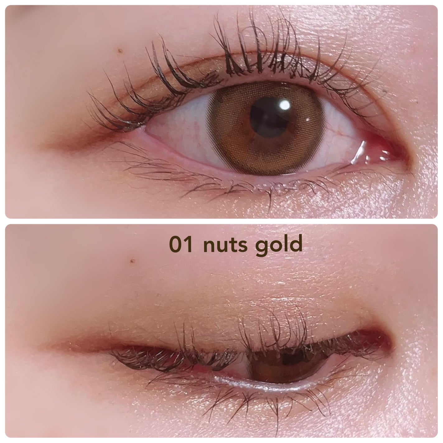 カクテルルーチェアイパレット/haomii/マルチパレットを使ったクチコミ(4枚目)