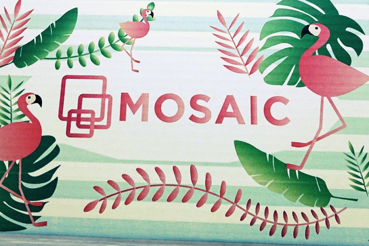 MOSAIC ボックス/MOSAIC/その他キットセットを使ったクチコミ(1枚目)