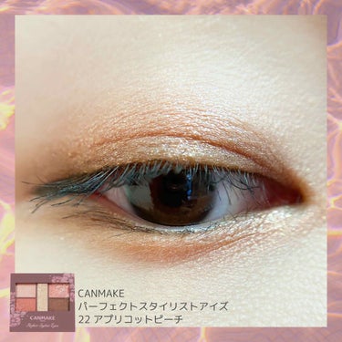 今日のメイク💄

🍑CANMAKE パーフェクトスタイリストアイズ 22 アプリコットピーチ

今日は先日購入したキャンメイク新作でメイクをしてみました☺️

可愛い色味のパレットですが、私の目にはどう