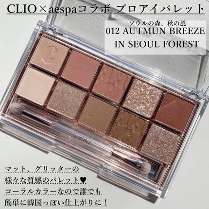 プロ アイ パレット/CLIO/アイシャドウパレットを使ったクチコミ(2枚目)