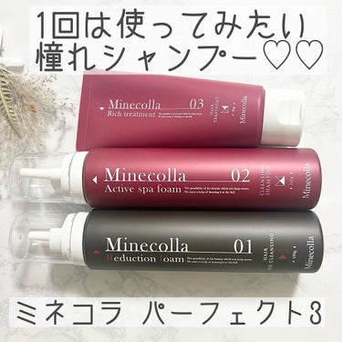 ミネコラ パーフェクト3/Minecolla/シャンプー・コンディショナーを使ったクチコミ（1枚目）