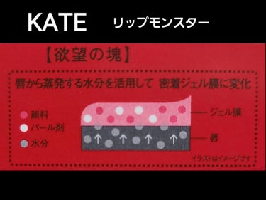 リップモンスター 01 欲望の塊/KATE/口紅を使ったクチコミ（3枚目）