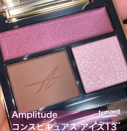 コンスピキュアス アイズ/Amplitude/アイシャドウパレットを使ったクチコミ(3枚目)