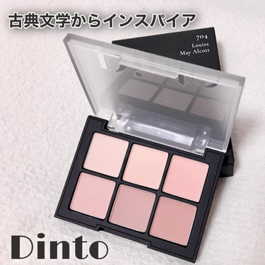 ブラーフィニシュシャドウパレット/Dinto/アイシャドウパレットを使ったクチコミ（1枚目）