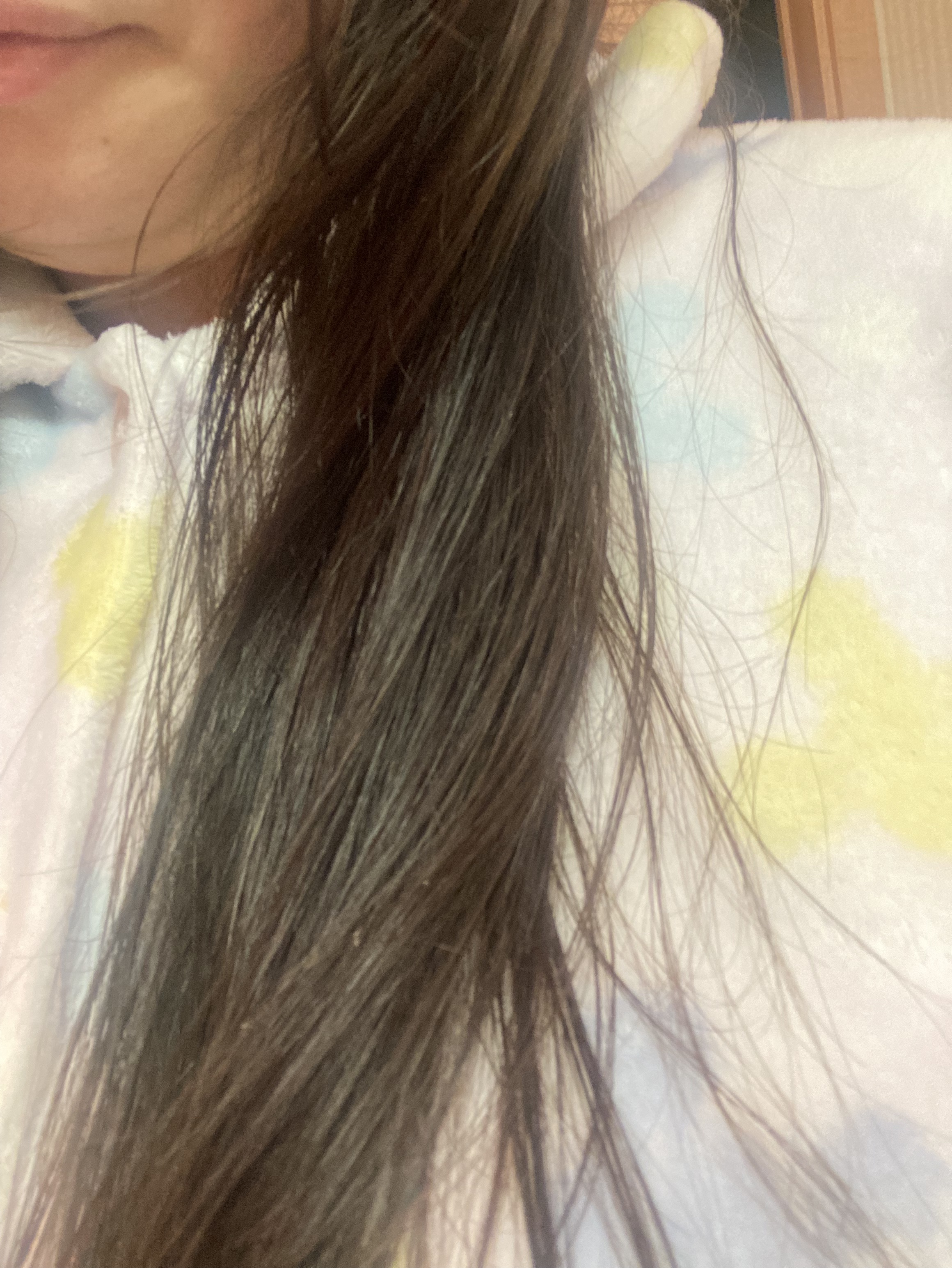 モイスチャーライジング＆リペアブースター 導入液ヘアミスト つめかえ 200ml/エイトザタラソ/ヘアミストを使ったクチコミ（1枚目）