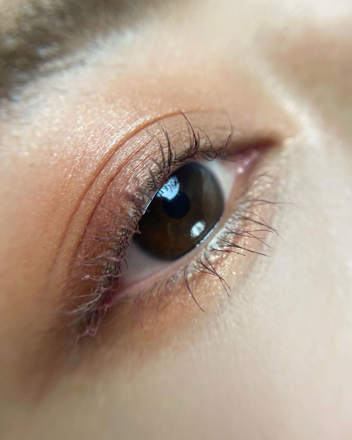 【旧】サンク クルール クチュール/Dior/アイシャドウパレットを使ったクチコミ(5枚目)