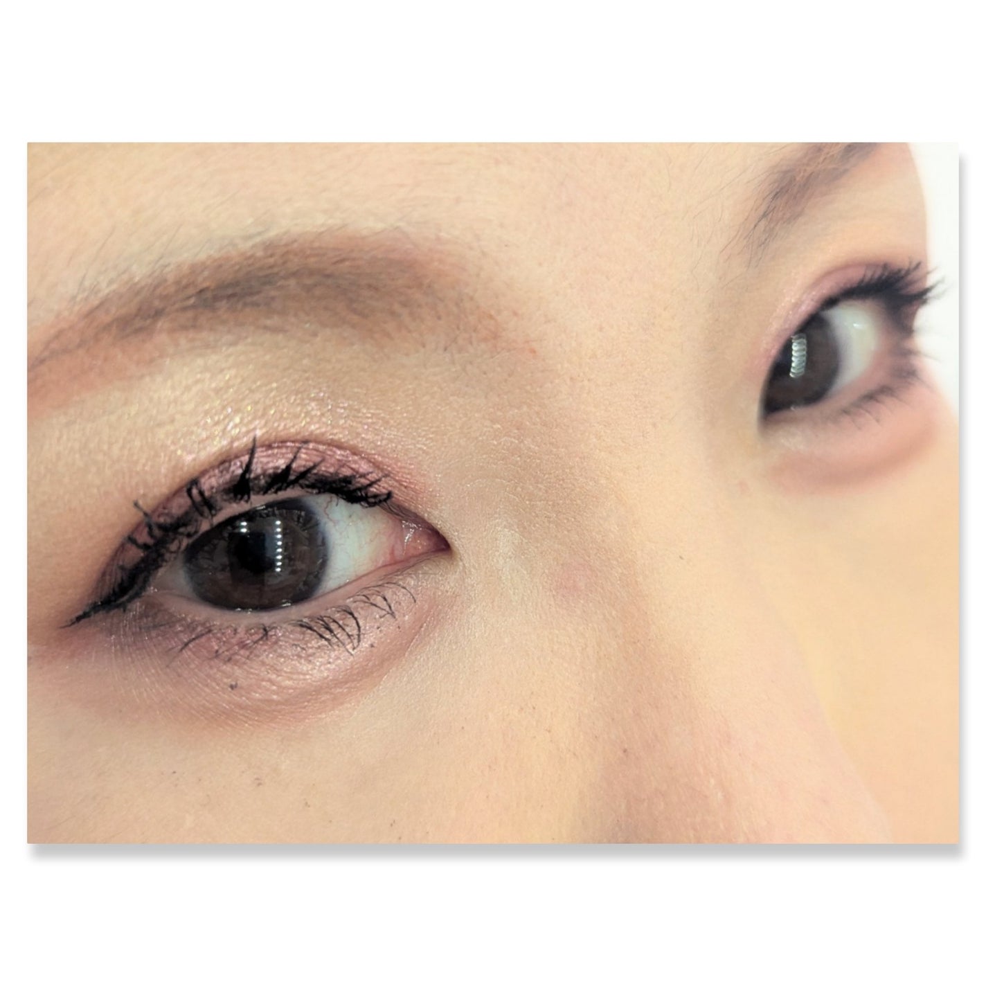 足しパレ/Fujiko/アイシャドウパレットを使ったクチコミ(2枚目)