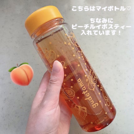 pansan on LIPS 「#ボディメイク応援フード〜5秒でできるマイボトル飲料〜ブレンデ..」(5枚目)