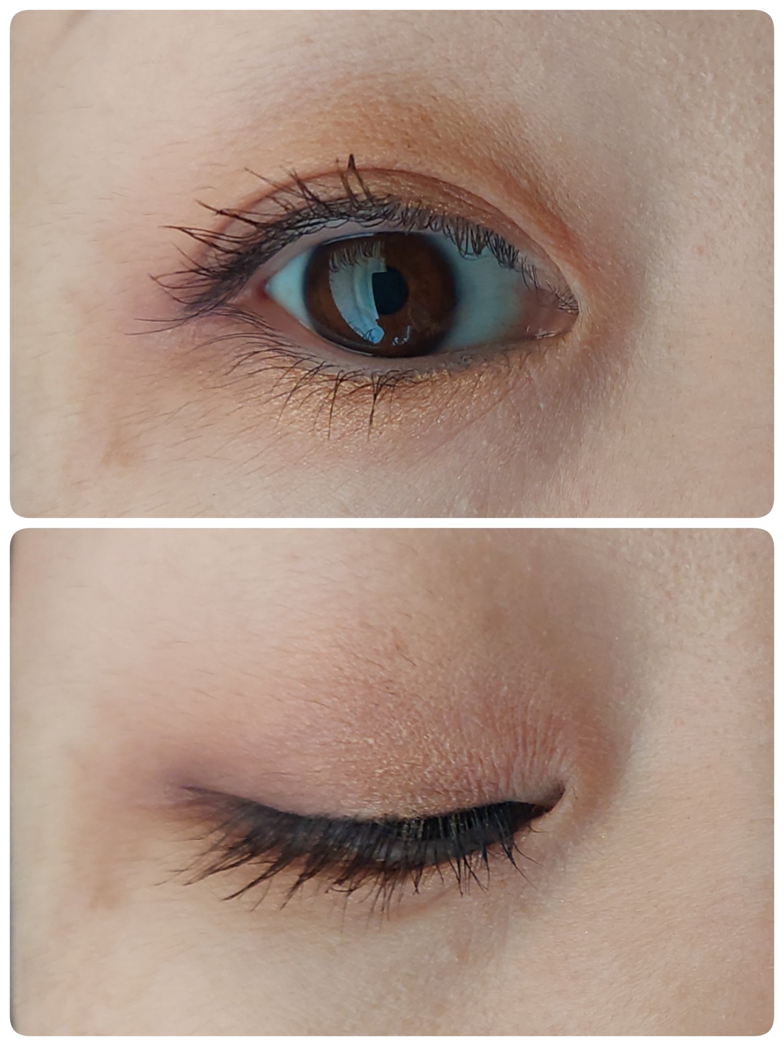 「塗るつけまつげ」自まつげ際立てタイプ/デジャヴュ/マスカラを使ったクチコミ（2枚目）