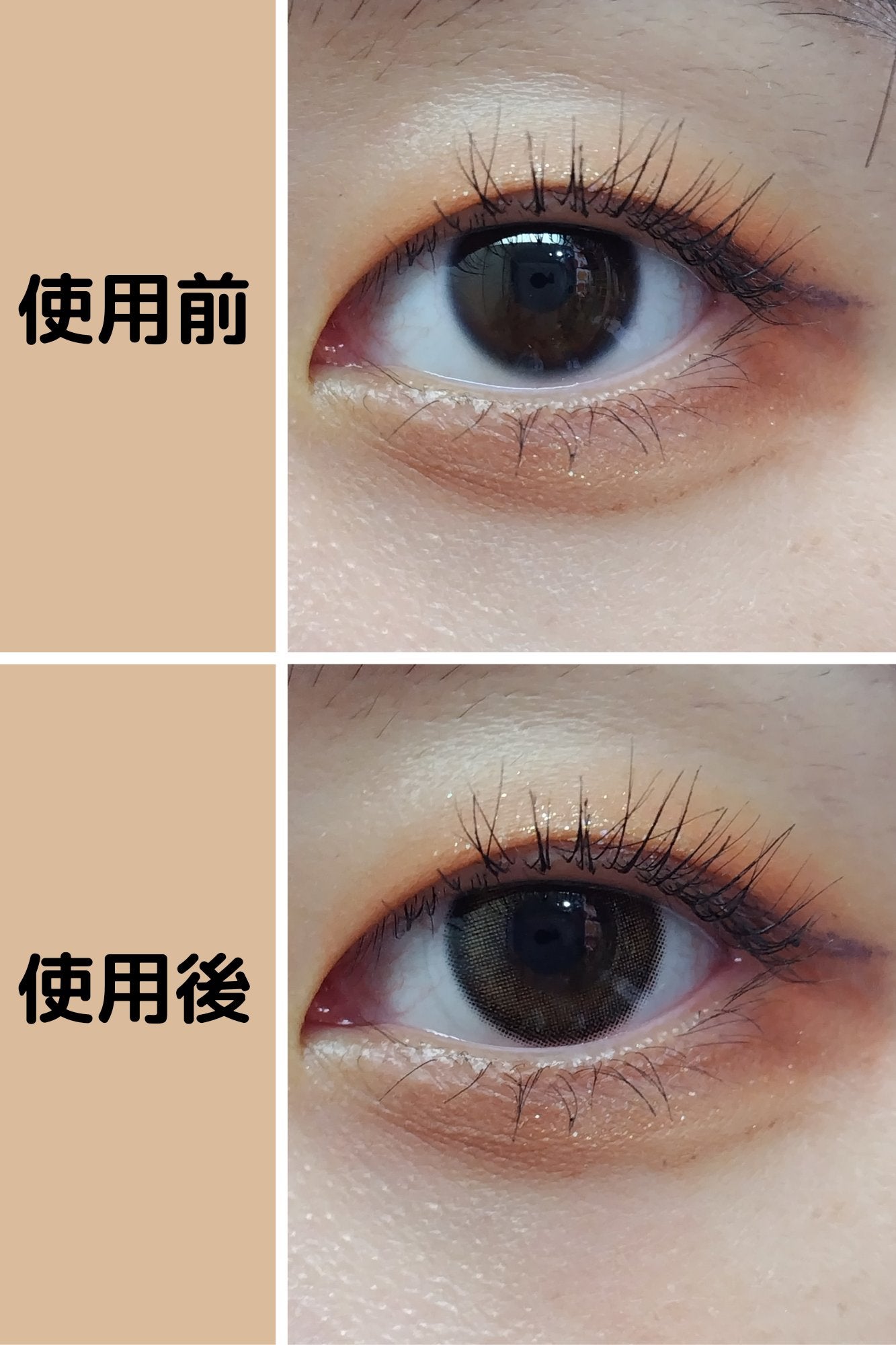 ViVi Ring 1day/OLENS/ワンデー(1DAY)カラコンを使ったクチコミ(3枚目)