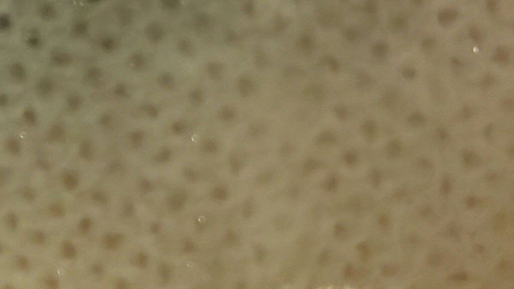 ディープケアマスク パール/RISM/シートマスク・パックを使ったクチコミ（2枚目）