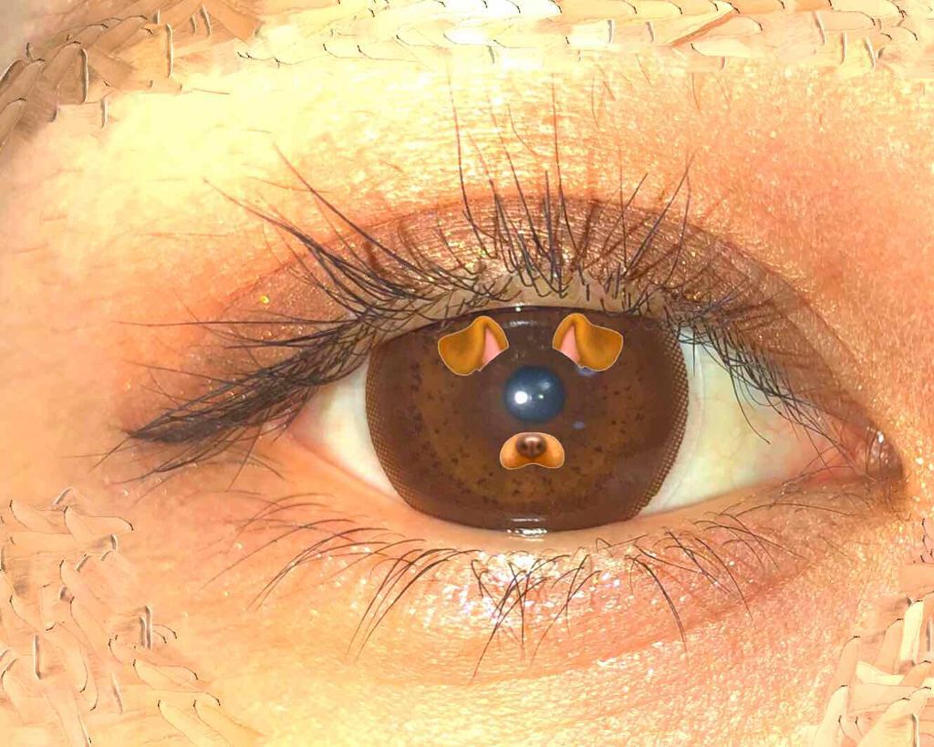 スキニーリッチシャドウ/excel/アイシャドウパレットを使ったクチコミ（2枚目）