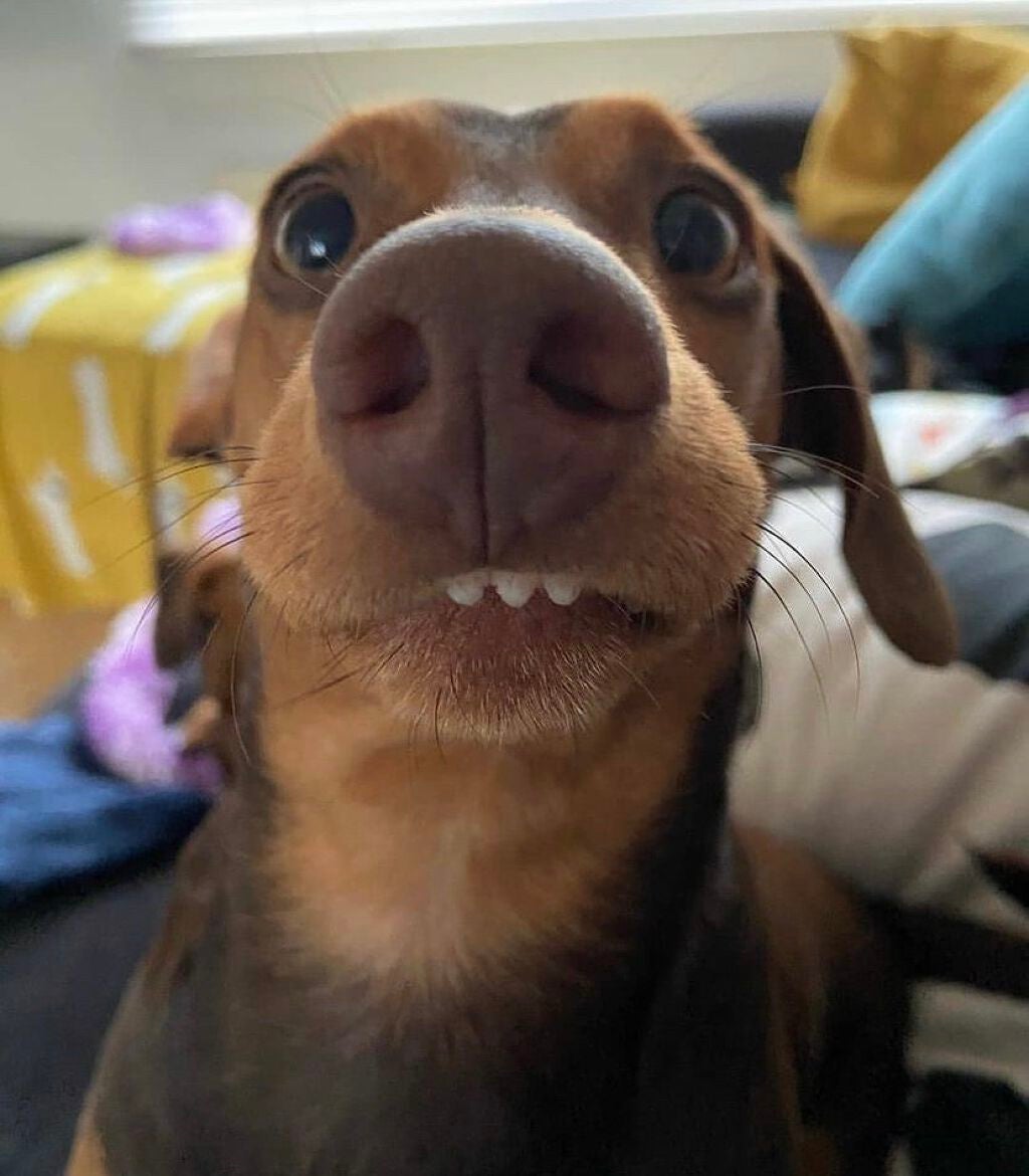 いつきちゃん on LIPS 「..」(4枚目)