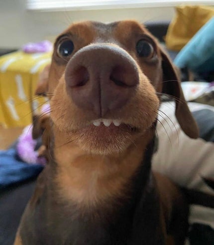 いつきちゃん on LIPS 「..」(4枚目)