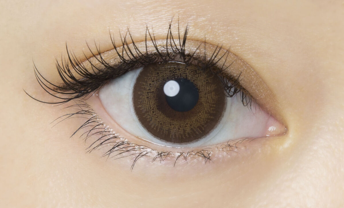 FLANMY 1day ダークモカ