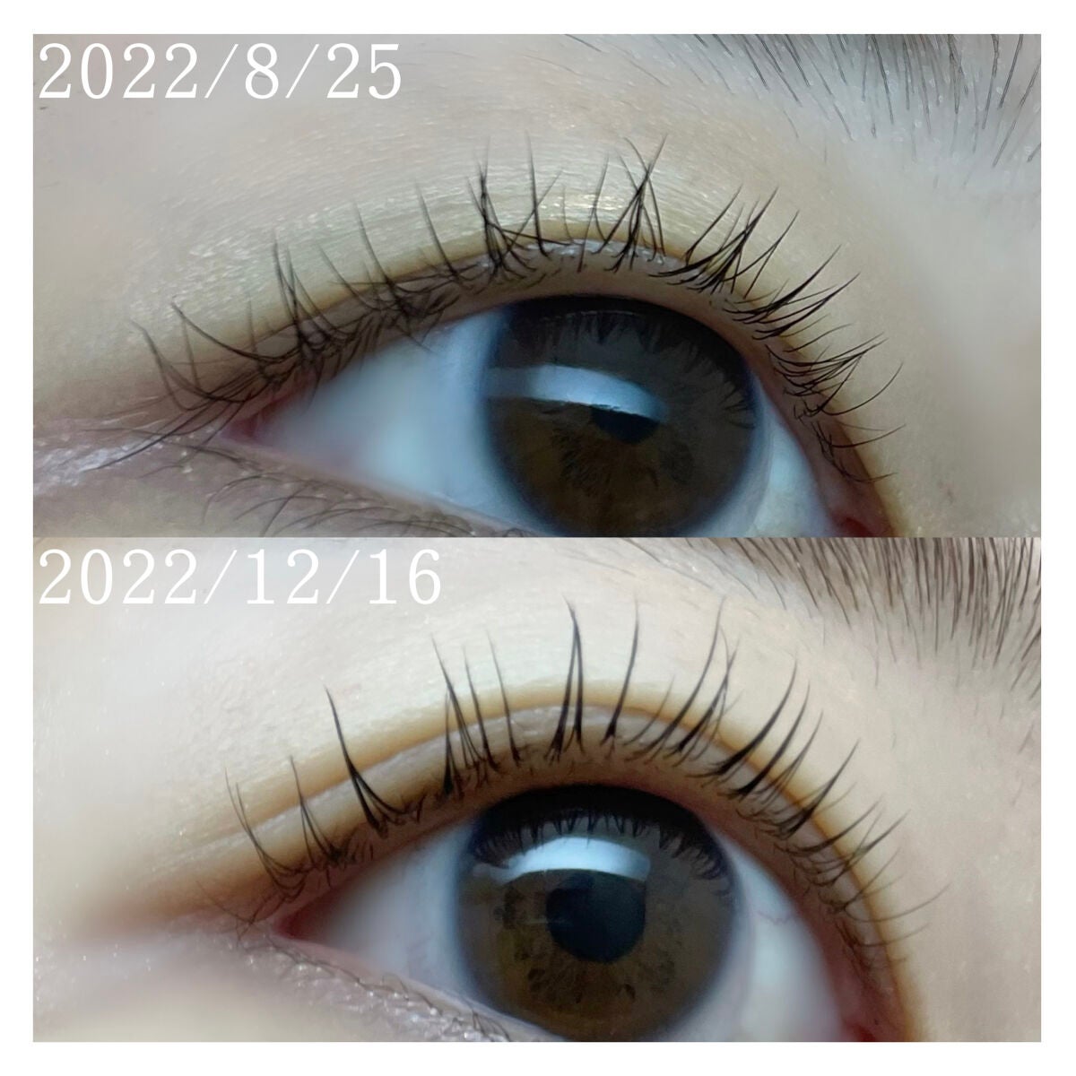 ハンオールラッシュセラム/rom&nd/まつげ美容液を使ったクチコミ(4枚目)