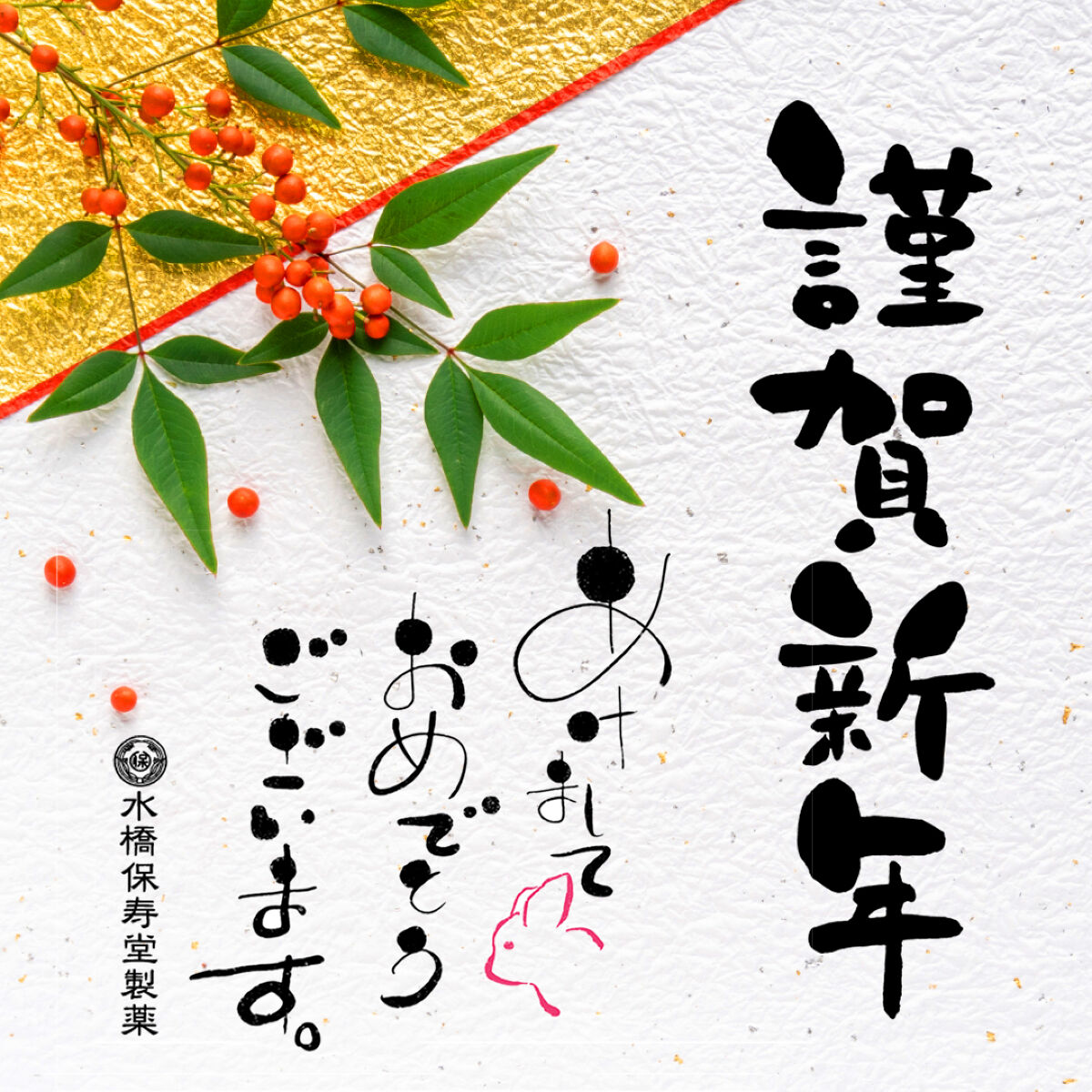 エマルジョンリムーバー　300ml/200ml/水橋保寿堂製薬/その他洗顔料を使ったクチコミ（1枚目）