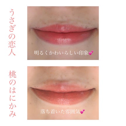 ネンマクフェイク ルージュ/Visée/口紅を使ったクチコミ(9枚目)