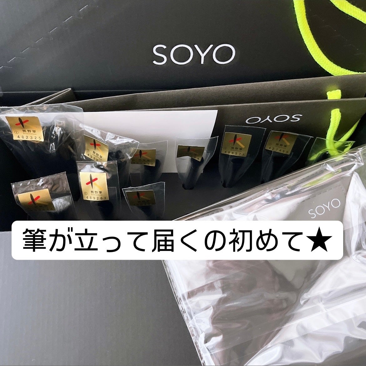 SOYO ディスカバー フルセット (10本+ケース付)/SOYO/メイクブラシを使ったクチコミ(2枚目)