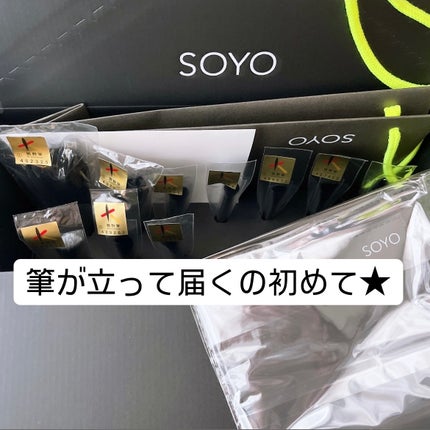試してみた】SOYO SOYO ディスカバー フルセット (10本+ケース 試してみた】SOYO SOYO ディスカバー フルセット (10本+ケース