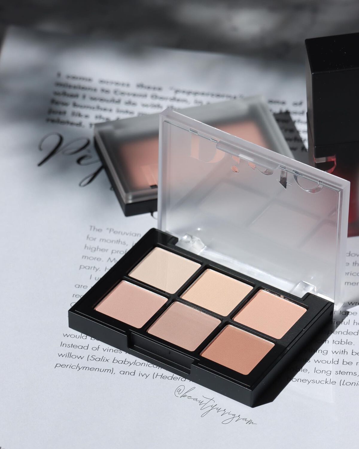 ブラーフィニシュリップティント/Dinto/リップティントを使ったクチコミ(2枚目)