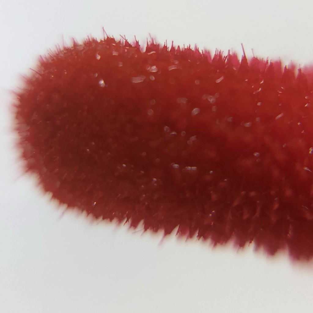 エスポルール リップティント/エスポルール/リップティントを使ったクチコミ(3枚目)