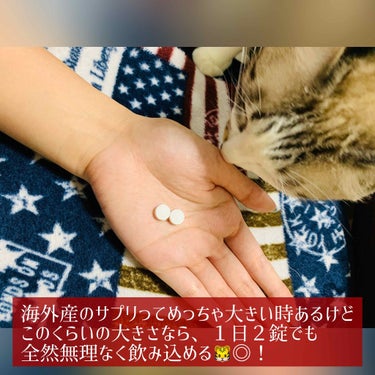 Kirkland Signature(カークランドシグニチャー) マルチビタミンのクチコミ「


🐱おたぬの肌の秘訣。高ｺｽﾊﾟﾏﾙﾁﾋﾞﾀﾐﾝ🐱



【カークランドシグネチャー】
 .....」（2枚目）