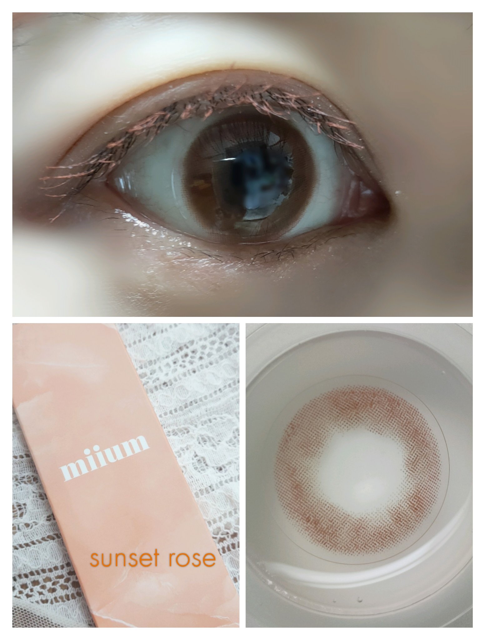 miium 1day シェルラッコ/miium/ワンデー（１DAY）カラコンを使ったクチコミ（2枚目）