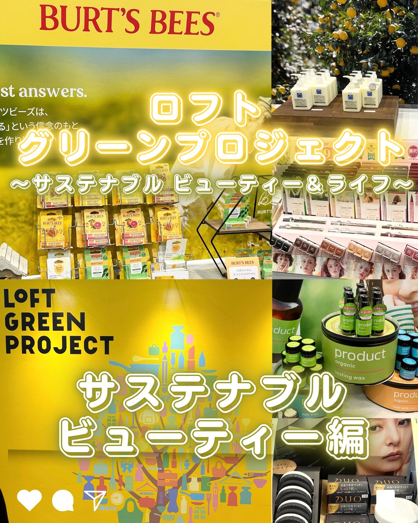 waniwaniコスメ@ふぉろば on LIPS 「ロフトグリーンプロジェクト~サステナブルビューティー&ライフ~..」(1枚目)