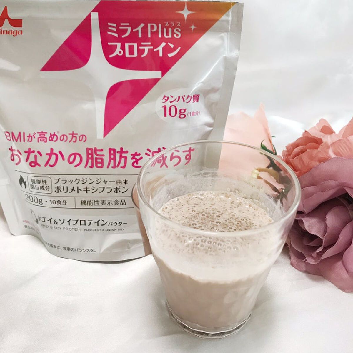 ミライPlusプロテイン ミルクココア味 ホエイ&ソイプロテインパウダー 森永乳業