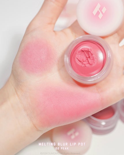 メルティングブラーリップポット/HOLIKA HOLIKA/口紅を使ったクチコミ(7枚目)