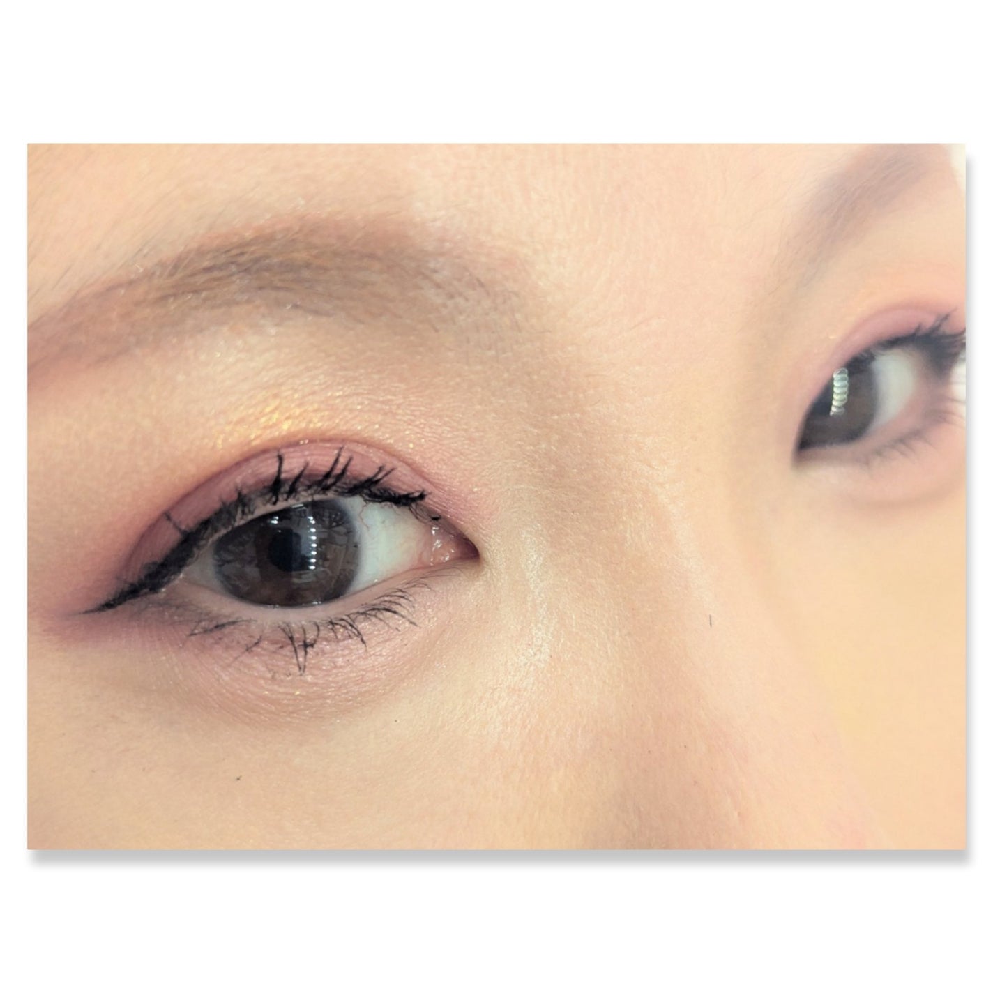 フェイスカラーパレット/チャコット・コスメティクス/アイシャドウパレットを使ったクチコミ(2枚目)