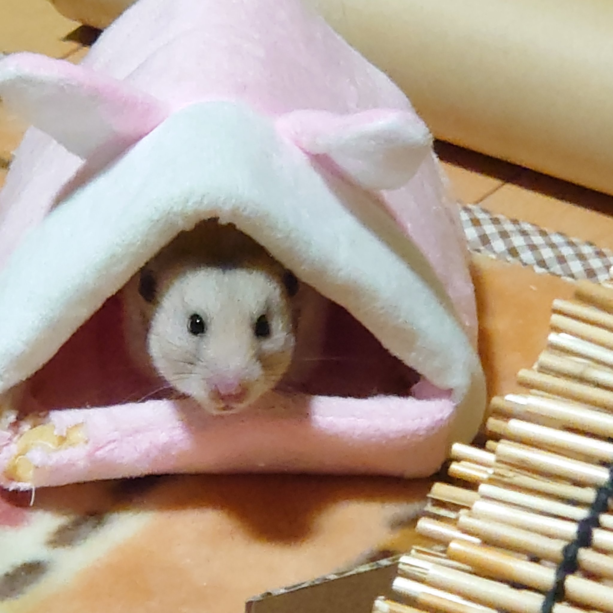 エンシェールズカラーバター/エンシェールズ/ヘアカラーを使ったクチコミ（1枚目）