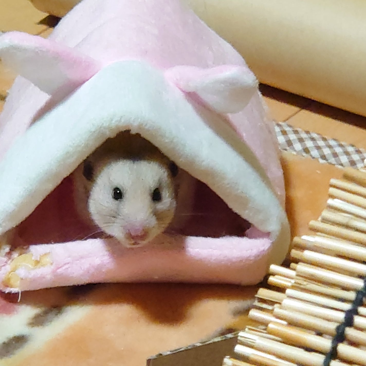 エンシェールズカラーバター/エンシェールズ/ヘアカラーを使ったクチコミ(1枚目)