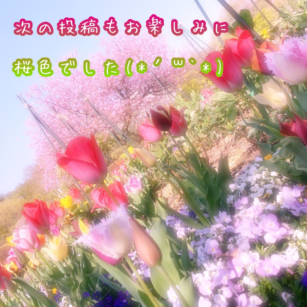 プリズム エアー アイ パレット/CLIO/アイシャドウパレットを使ったクチコミ(2枚目)