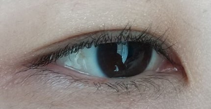 ドラマティックスタイリングアイズS/マキアージュ/アイシャドウパレットを使ったクチコミ(4枚目)