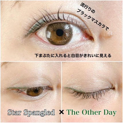 スムース カラー アイライナー/DIDION/ペンシルアイライナーを使ったクチコミ(8枚目)