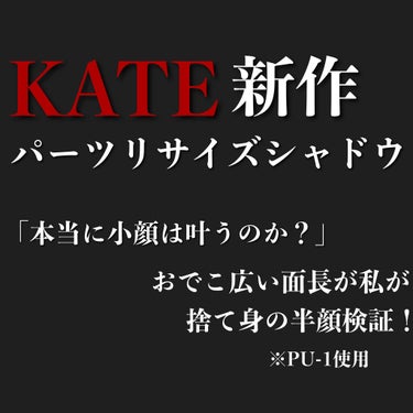 パーツリサイズシャドウ/KATE/アイシャドウパレットを使ったクチコミ（8枚目）