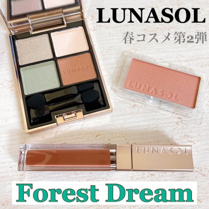 アイカラーレーション/LUNASOL/アイシャドウパレットを使ったクチコミ(1枚目)