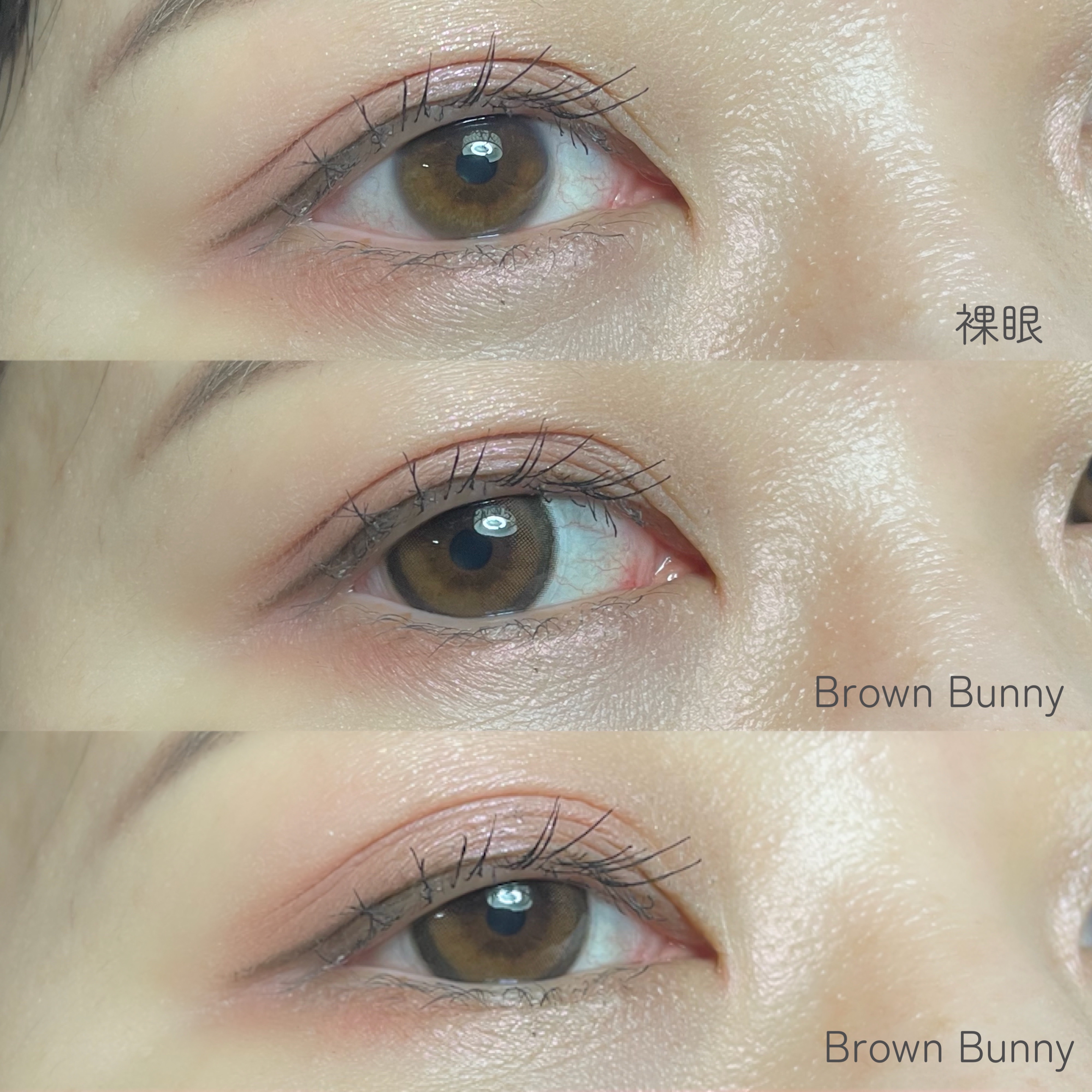 MOLAK 1month/MOLAK/１ヶ月（１MONTH）カラコンを使ったクチコミ（3枚目）