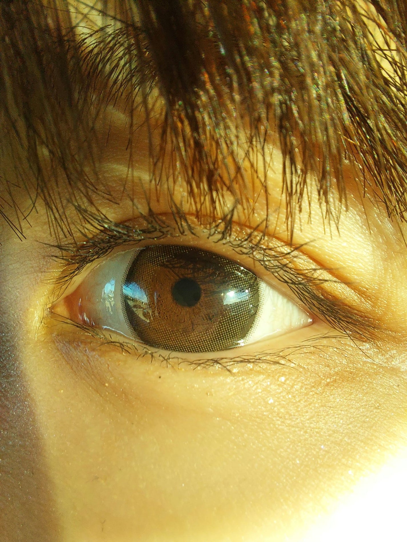 エバーカラーワンデーミリモア/エバーカラー/ワンデー(1DAY)カラコンを使ったクチコミ(6枚目)