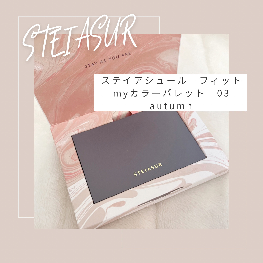 フィット my カラーパレット/STEIASUR（ステイアシュール）/マルチパレットを使ったクチコミ（2枚目）