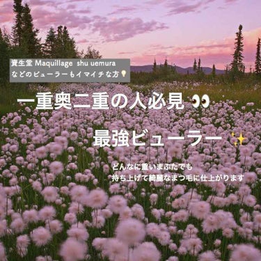  お久しぶりです 🙇🏻‍♀️
今回はご存知の方も多いかと思いますが、
一重 奥二重の人に超おすすめの #ビューラー を
紹介したいと思います ❤︎
ㅤㅤㅤㅤㅤㅤㅤㅤㅤㅤㅤㅤㅤ
わたしは何をしてもどうにも