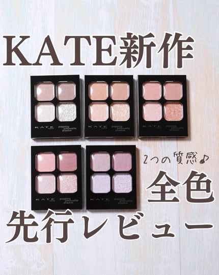 ケイト ポッピングシルエットシャドウ/KATE/アイシャドウパレットを使ったクチコミ(1枚目)